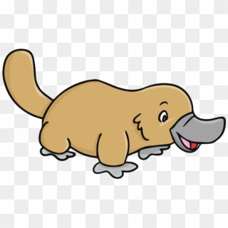 Cartoon Platypus Duck Cartoon Clip Art HD Png Download 640x480 