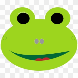 677 X 562 2 - Mask Of A Frog, HD Png Download
