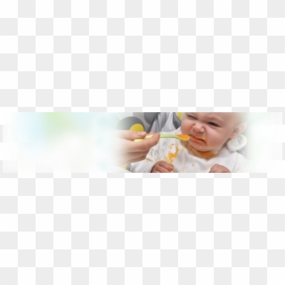 Developmental Stages In Infant And Toddler Feeding - Baby, HD Png Download
