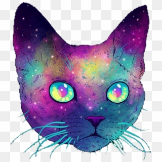Is This Your First Heart - Cat Galaxy Without Background, HD Png Download