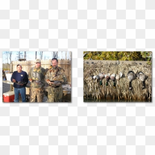 “our Chesapeake Bay Diver Duck Hunts Are World Famous - Grass, HD Png Download