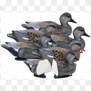 Best Gadwall Decoy Chat About Duck Hunting - Decoy, HD Png Download