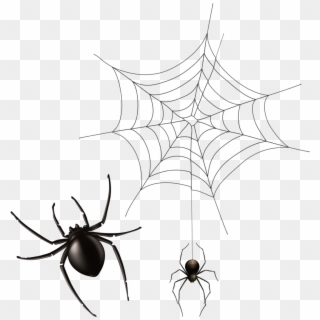 Halloween Cobwebs Clipart 7 Spider Web Png Bear - Painted Spider, Transparent Png
