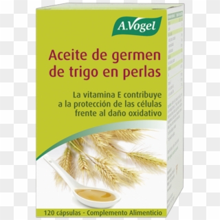 Avogel Aceite Germen Trigo Perlas - Vogel, HD Png Download