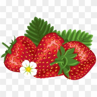 Strawberry Farmer Strawberries Images Image Free Download - Transparent Background Strawberries Clipart, HD Png Download