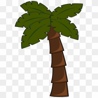 Palm Tree Png PNG Transparent For Free Download - PngFind