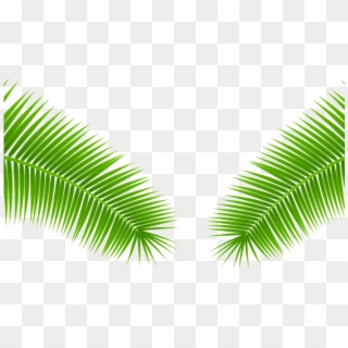 Leaves Clipart Palm - Roystonea, HD Png Download