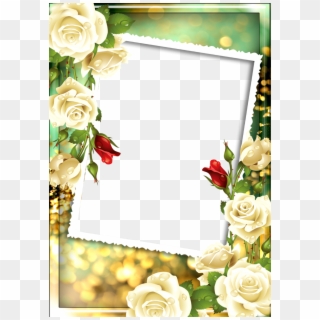 Floral Photo Frame Png, Transparent Png
