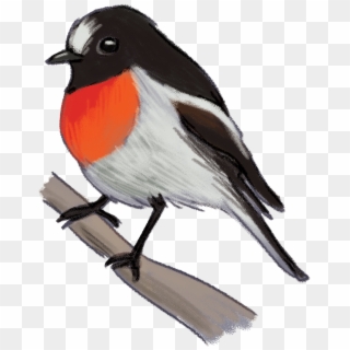 Scarlet-robin - Flame Robin Bird Png, Transparent Png