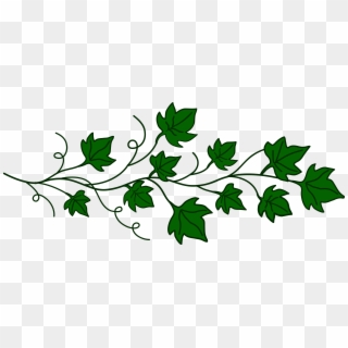 Drawn Branch Leaf Border Png - Vine Clipart, Transparent Png