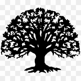 Tree Line Art Png - Family Reunion Tree Clipart, Transparent Png