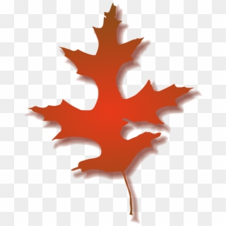 Book Now - Red Oak Leaf Clipart, HD Png Download