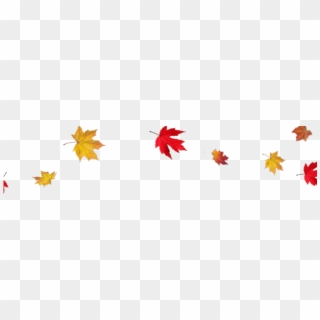 Drawn Leaves Leaf Border Png - Transparent Fall Leaves Background, Png Download