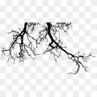 Silhouette Free Images Toppng Transparent - Tree Branches Silhouette Png, Png Download