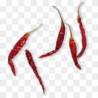 Pepper - - Red Dry Chilli Png, Transparent Png