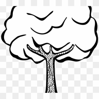 Tree Line Art - Simple Clip Art Trees Black And White, HD Png Download