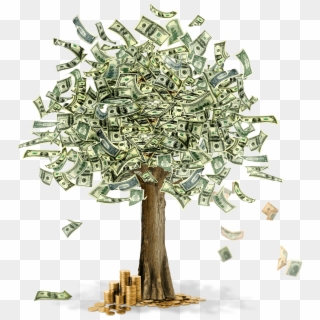 Money Tree - Money And Trees, HD Png Download