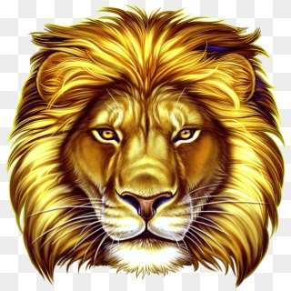 50 Lions Slot Game - Lion Slot, HD Png Download