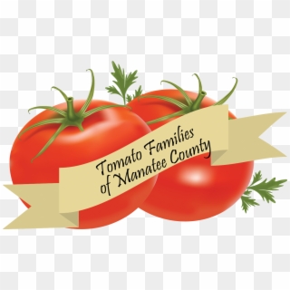 Current Exhibits - Transparent Background Tomatoes Clipart, HD Png Download