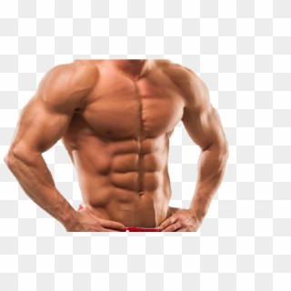Muscle Sticker - Muscle Body, HD Png Download