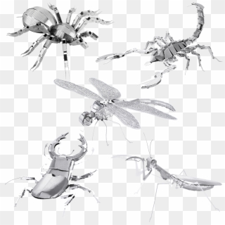 Picture Of Set Bugs - Metal Bugs, HD Png Download