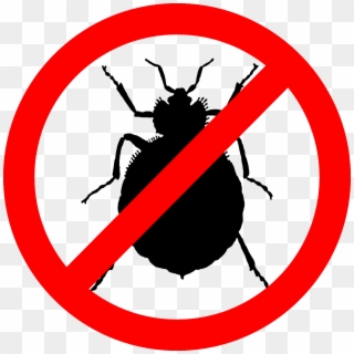 As The Developers Of The Game Are Just Human As Well, - Bed Bug Stop, HD Png Download