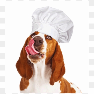 Dog Wearing Chef Hat - Dog Yawns, HD Png Download