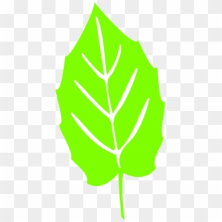 Leaf Icon - Scalable Vector Graphics, HD Png Download