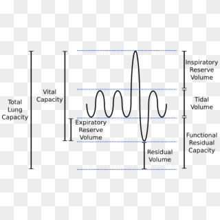 Lung Volumes - Inspiratory Reserve Volume Graph, HD Png Download