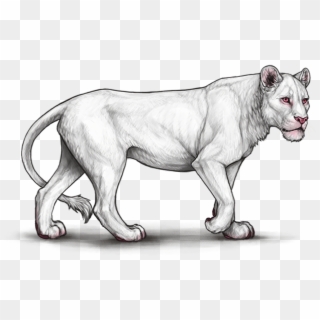Vhpwvvw - Lioden Neutral Lioness, HD Png Download