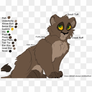 Lioness Reference Sheet - Fluffy Lioness Lion King, HD Png Download