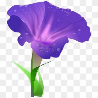 Iris Flower Clip Art - Morning Glory Clipart, HD Png Download