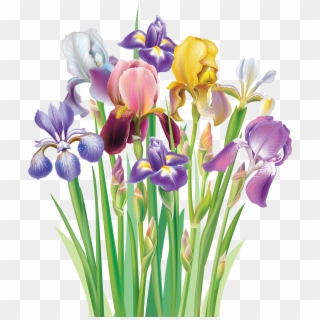 Clipart Of Iris Flower - Bouquet Of Flowers Irises, HD Png Download