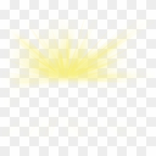 650 X 515 3 - Beige, HD Png Download