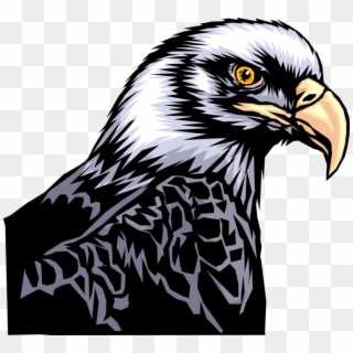 Vector Illustration Of American Bald Eagle National - Art Eagle Beautiful, HD Png Download