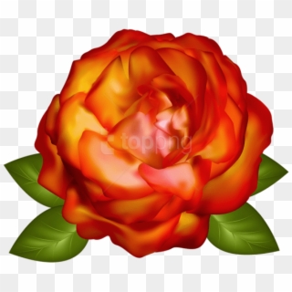 Beautiful Rose Png - Rosas Pink Png, Transparent Png