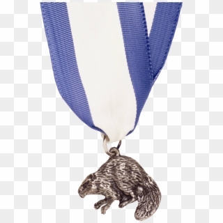 Silver Beaver Medal - Silver Beaver Boy Scouts, HD Png Download