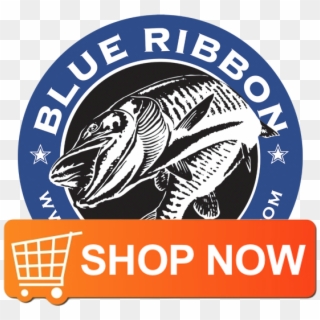 Brb Shop Now - Buy Now Button, HD Png Download