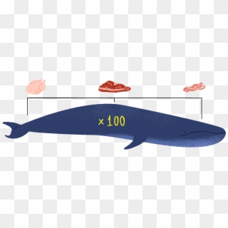 100 Blue Whales - Blue Whale Meat, HD Png Download