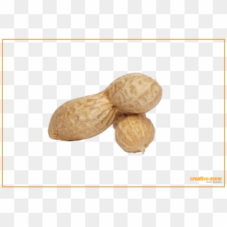 Peanuts, Arachis In Shell - Peanut, HD Png Download