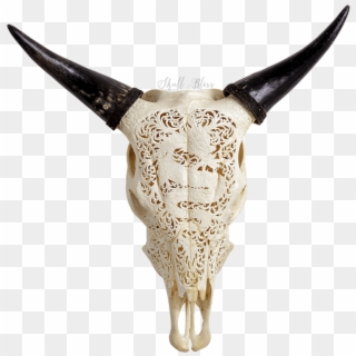 Carved Cow Skull - Skull, HD Png Download