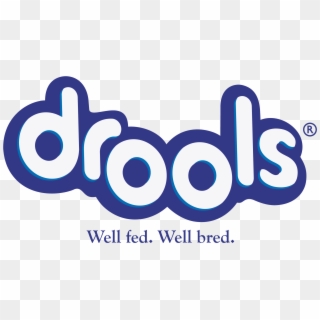 Drool Png - Drools Dog Food Logo, Transparent Png