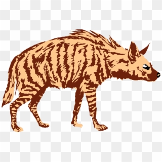 Download - Clipart Hyena, HD Png Download
