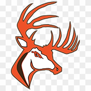 Buckeye Bucks - Buckeye Local Schools Logo, HD Png Download