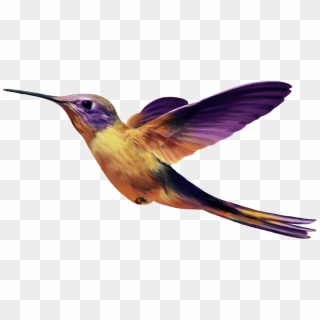 Птица Png - Bird Images Png, Transparent Png