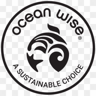 [logo]oceanwise - Ocean Wise Logo Png, Transparent Png