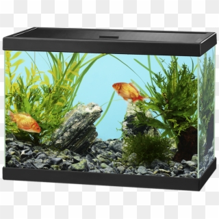 Aquarium Png - Ciano Aqua 15, Transparent Png
