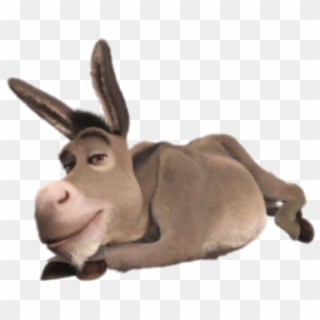 Shrek Clipart Animated - Donkey Shrek Laying Down, HD Png Download