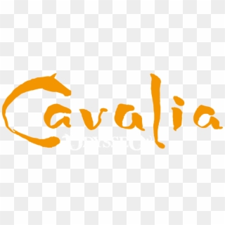Leave A Reply Cancel Reply - Cavalia Odysseo Nashville Tn, HD Png Download