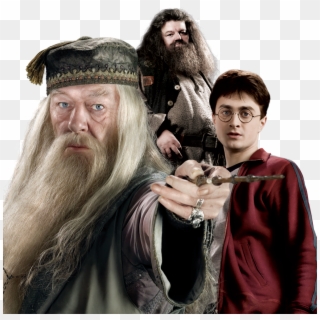 Dumbledore Png, Transparent Png